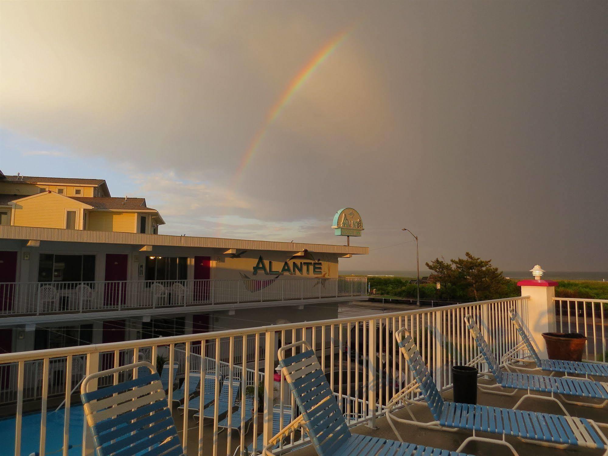 Alante Oceanfront Motor Otel North Wildwood Dış mekan fotoğraf